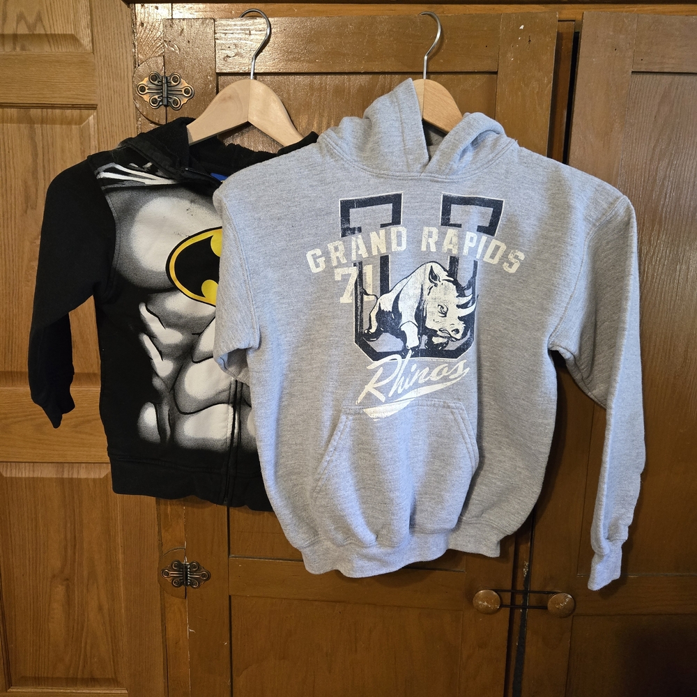 Gildan Gray Rhino Graphic Kids Hoodie